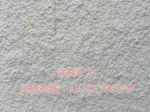 廠(chǎng)容廠(chǎng)貌 (3).jpg