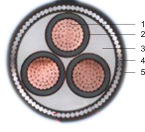 交聯(lián)聚氯乙烯絕緣電力電纜(圖2) 交聯(lián)聚氯乙烯絕緣電力電纜(圖2)